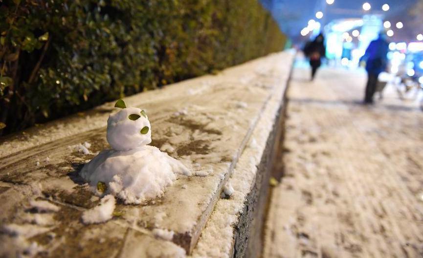 Snowfall hits Beijing