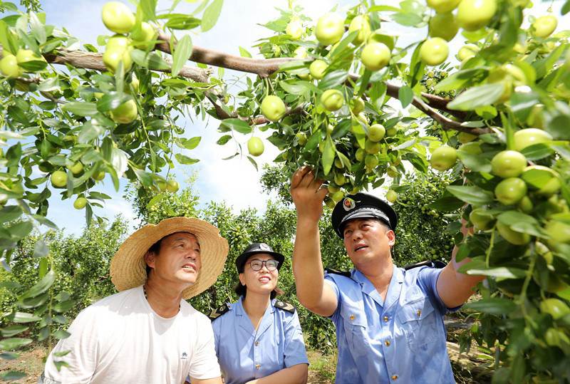 China continues to contribute to global intellectual property development