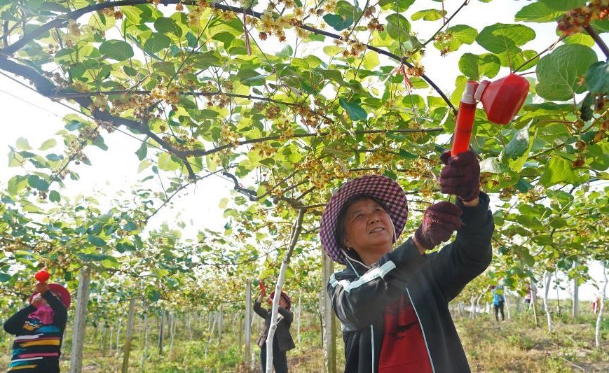 Counties develop industries to get rid of poverty