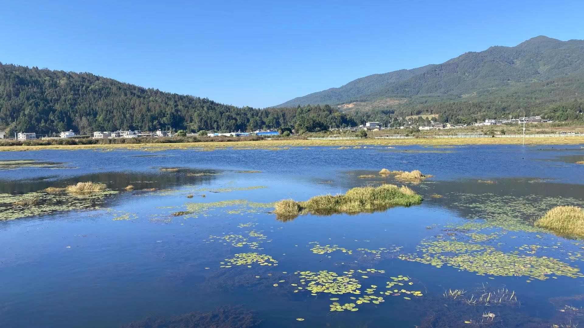 View of Beihai Wetland in SW China’s Yunnan