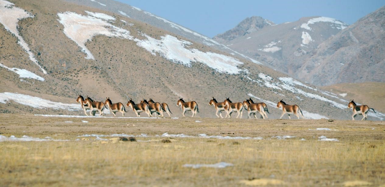 China strives to advance ecological civilization with world