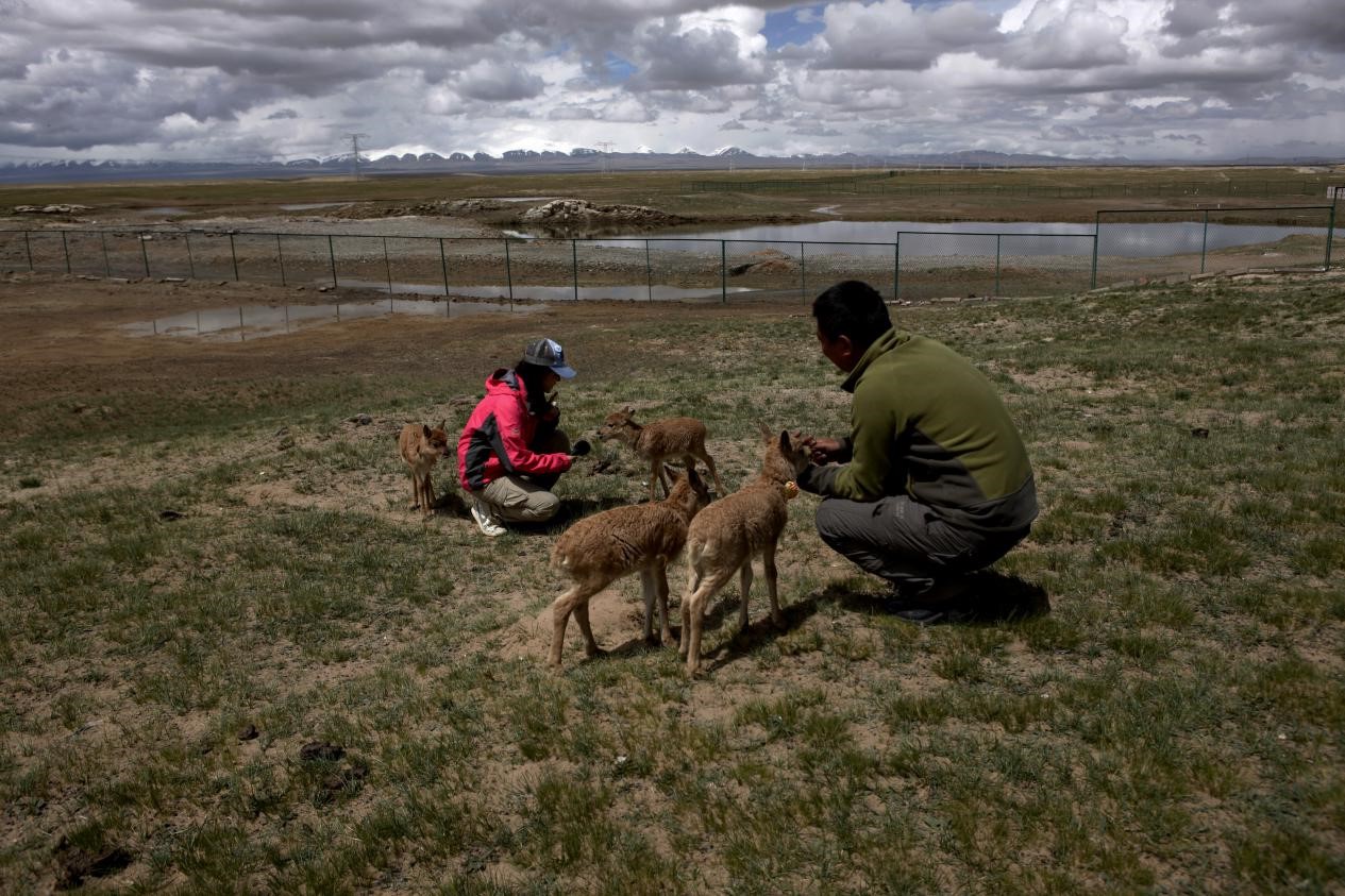 China strives to advance ecological civilization with world