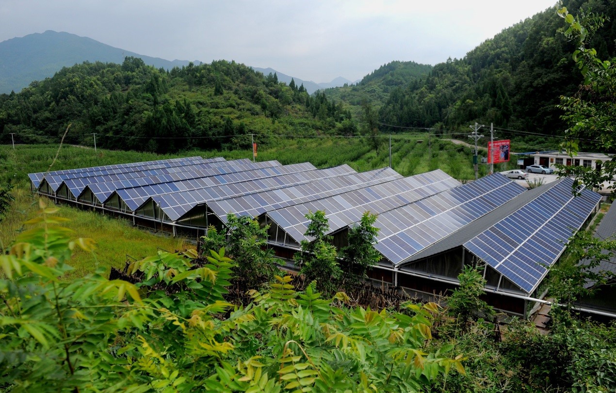 Photovoltaic power generation alleviates electricity shortage, helps poverty reduction in Chinese village