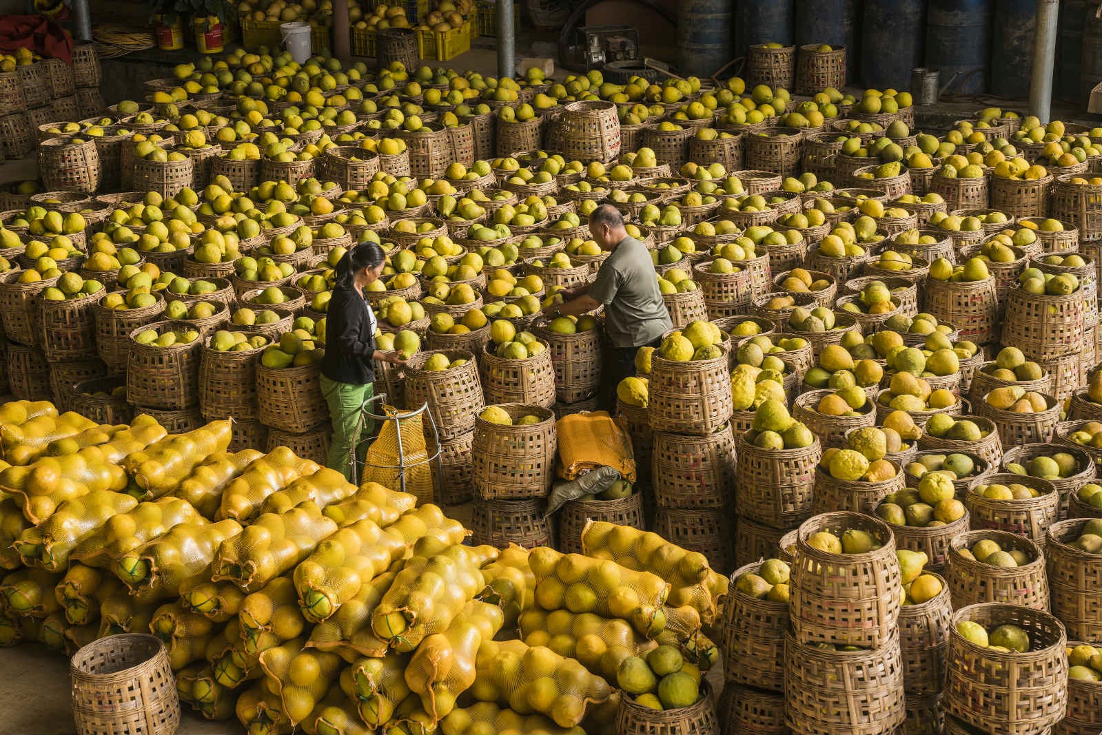 China's poverty alleviation policies aiming at supporting local industries cover 98% of poor residents