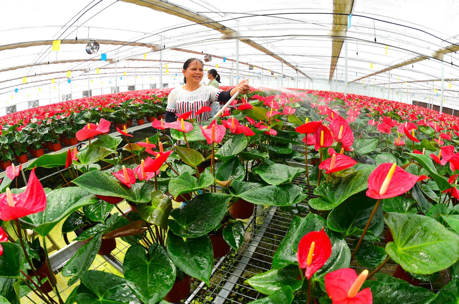 China's poverty alleviation policies aiming at supporting local industries cover 98% of poor residents