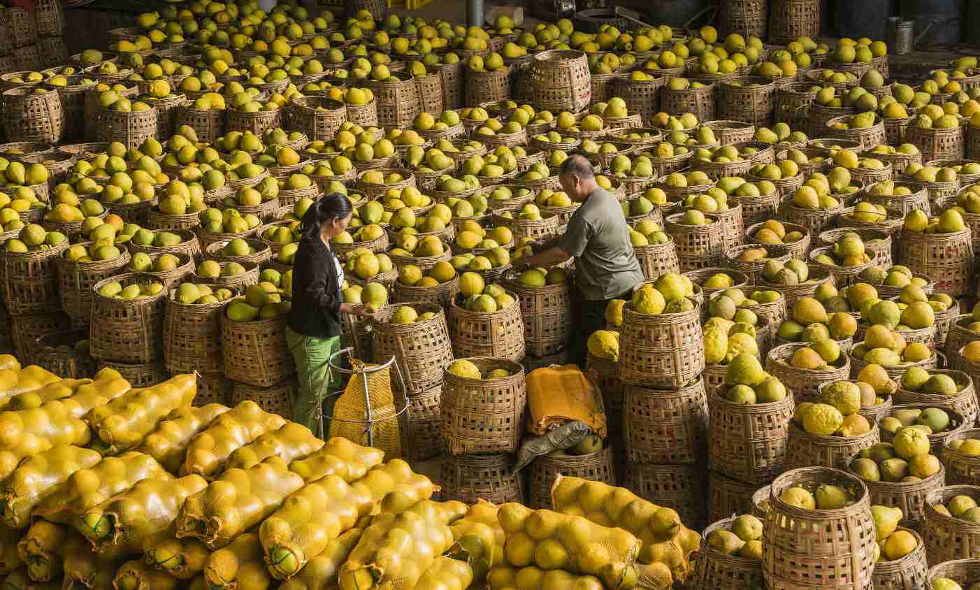 China's poverty alleviation policies aiming at supporting local industries cover 98% of poor residents