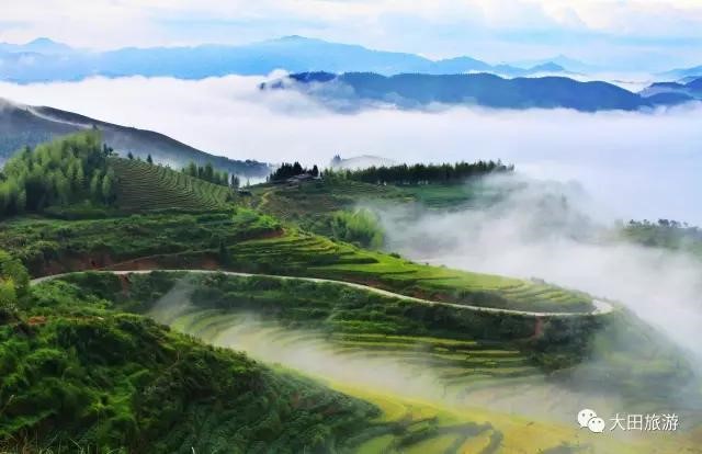 City in SE China pursues high-quality eco-industries