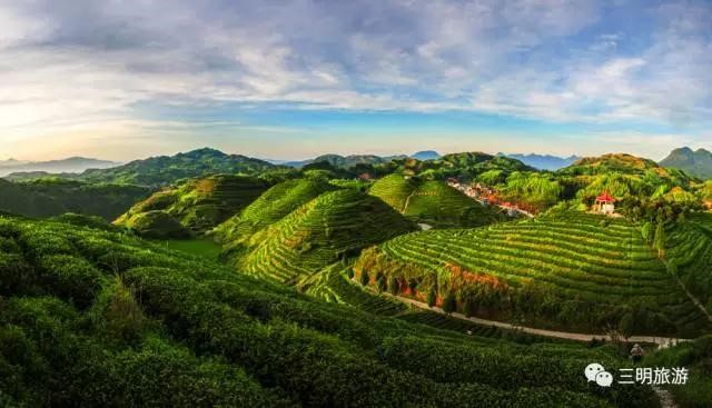 City in SE China pursues high-quality eco-industries