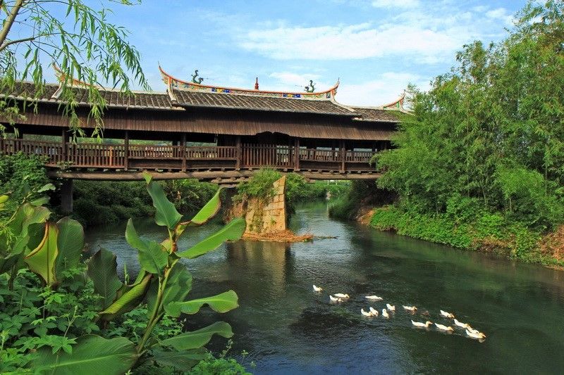 City in SE China pursues high-quality eco-industries