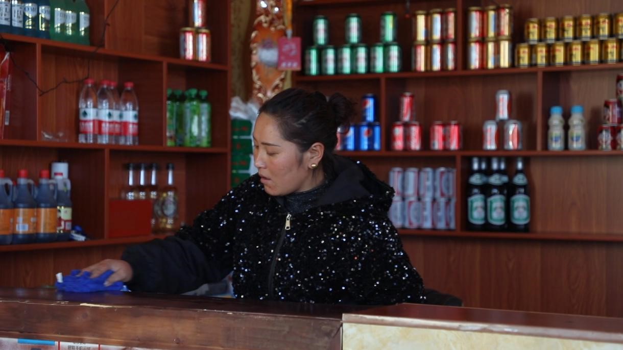 China's Tibet helps farmers, herdsmen find jobs