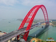 Third Pingnan Bridge in Guangxi opens to traffic