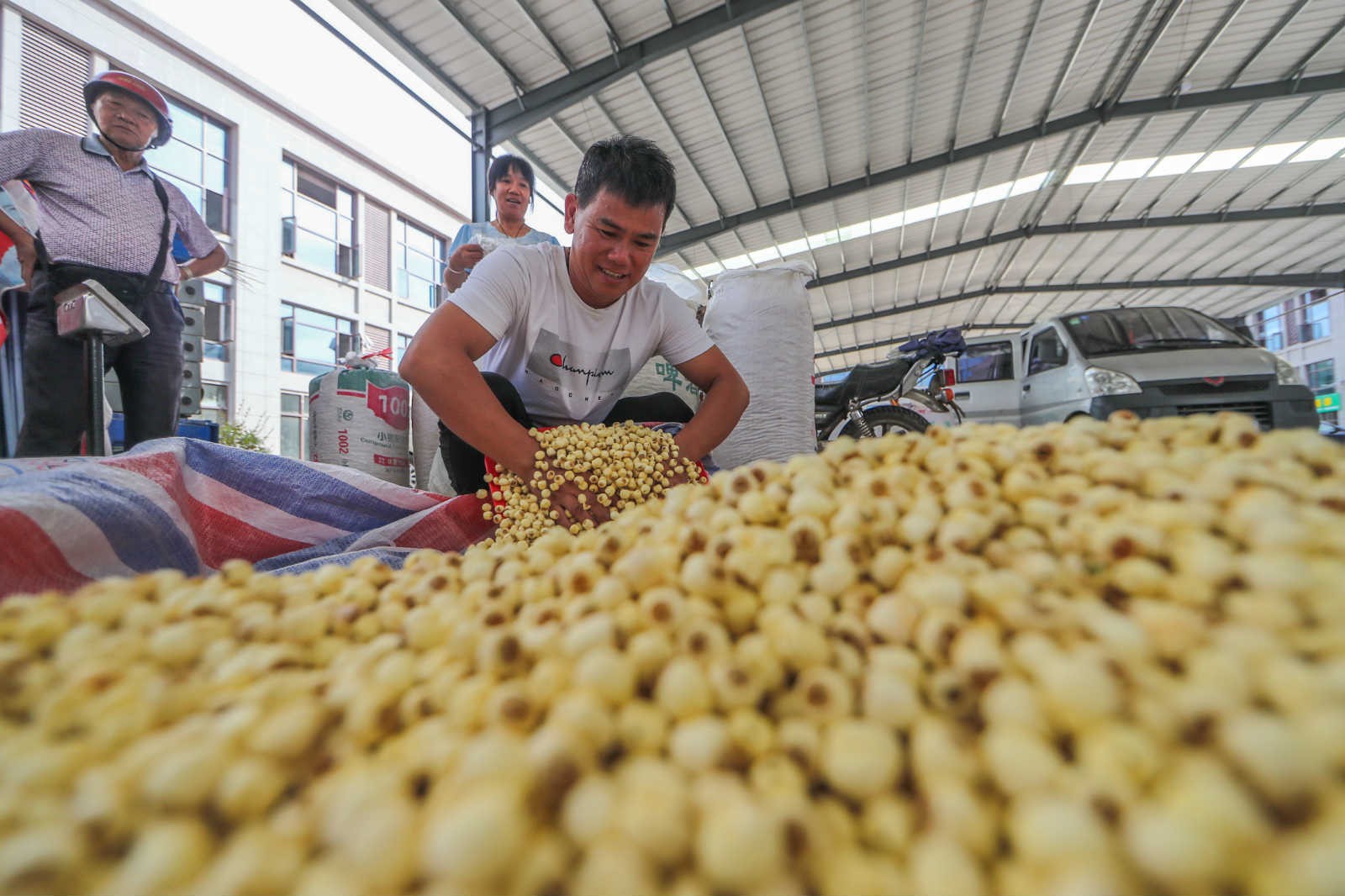 Raspberry cultivation agent in NE China helps drive income growth for villagers