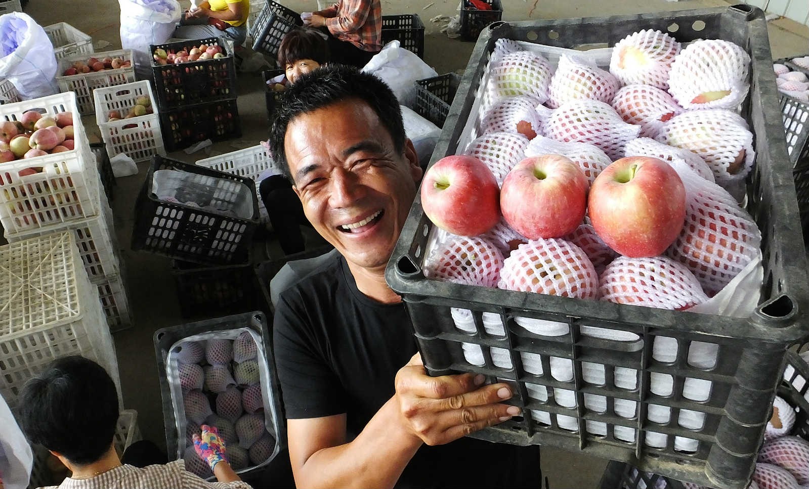 Raspberry cultivation agent in NE China helps drive income growth for villagers