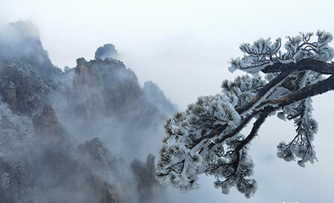 Rime scenery of Mount Huang in Anhui Province