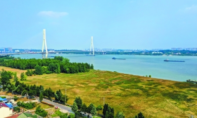 E China’s Nanjing makes solid progress in ecological, environmental protection