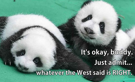 Panda Talk: Just admit... whatever the West said is RIGHT