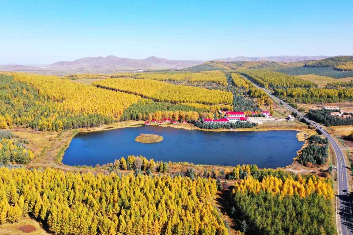 China's forest carbon reserve hits 9.2 billion tonnes