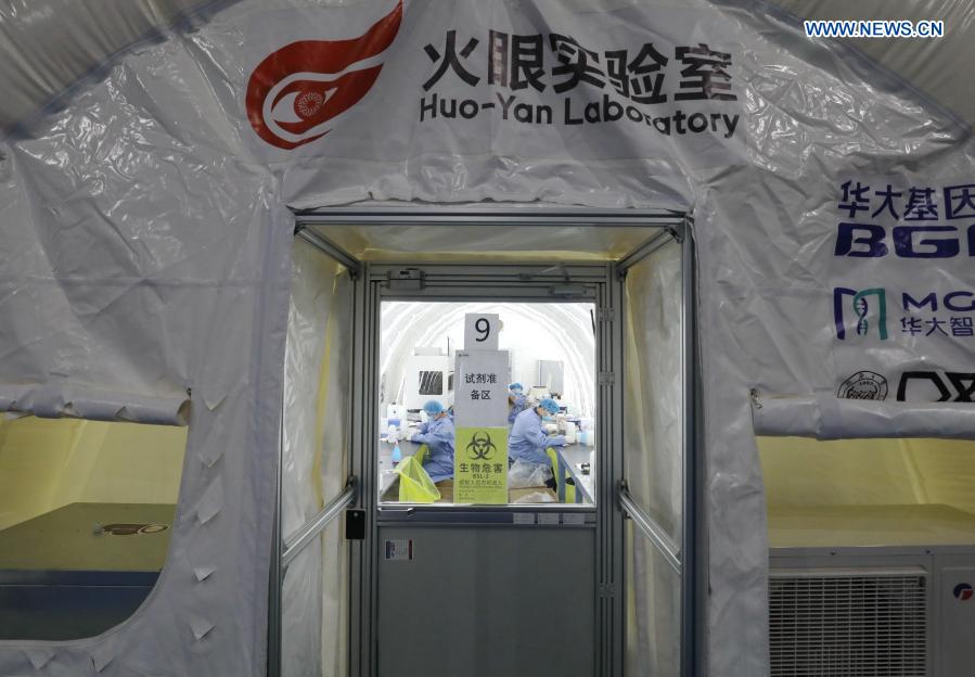 Nucleic acid samples get tested in Shijiazhuang's 