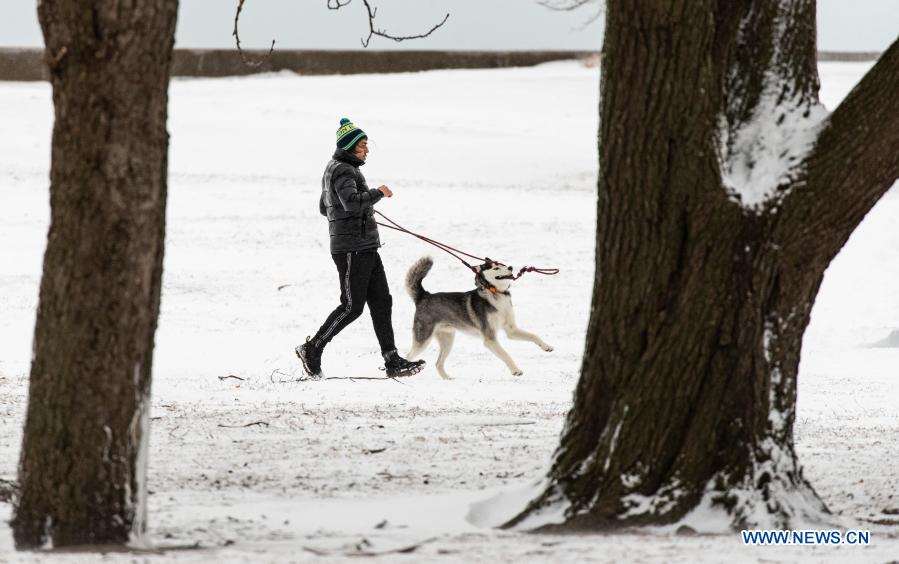 Winter storm hits U.S. Chicago area