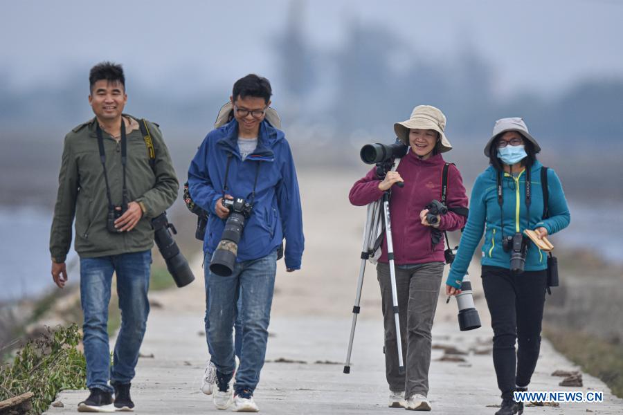 Swamps, surveys and endangered species: the barefoot bird-watchers of Hainan