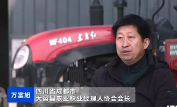 New professions help vitalize China’s countryside