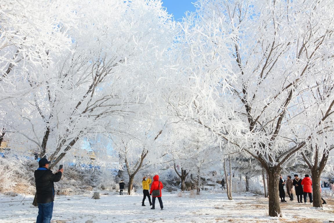 China's winter tourism embraces rapid development