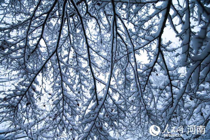 White snow turns Yuntai Mountain into fairyland