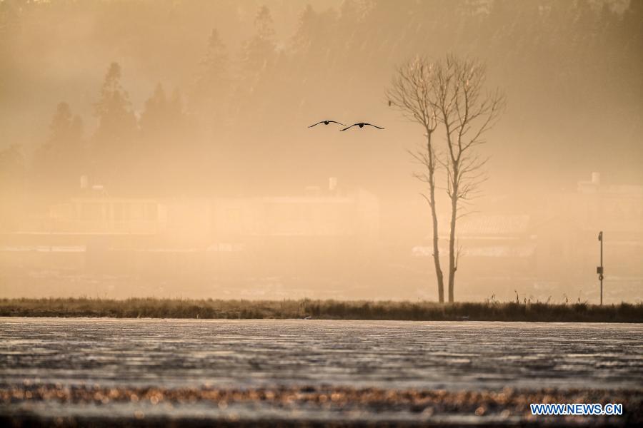 Guizhou promotes wetland restoration