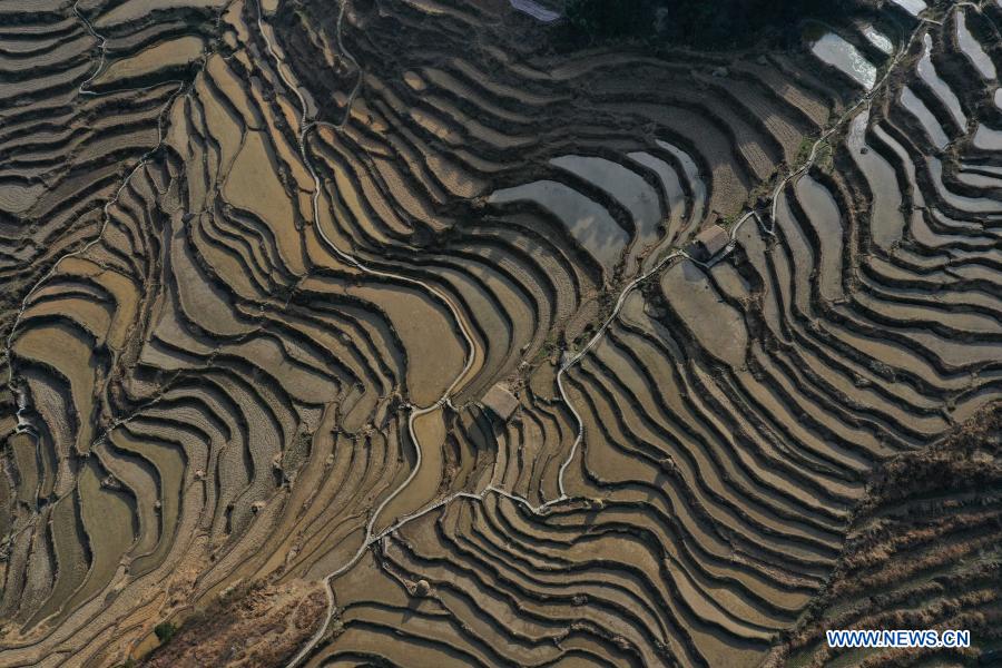 Scenery of terraced fields in Zhejiang