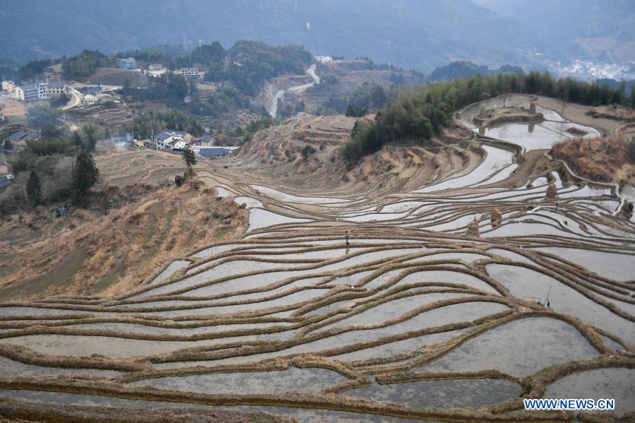 Scenery of terraced fields in Zhejiang