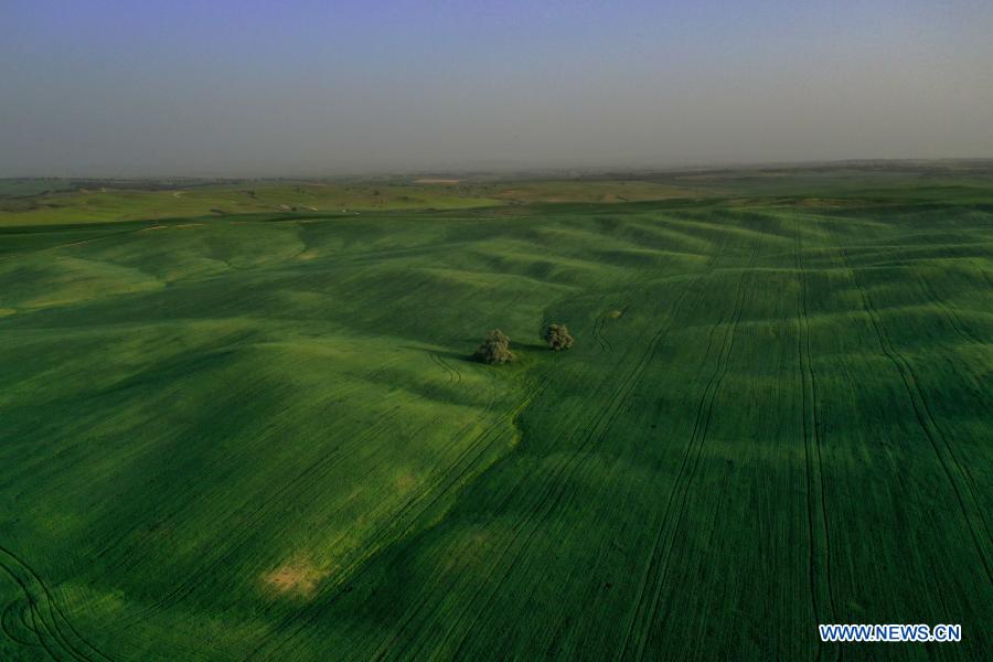 Aerial view of Negev desert near Beersheba, Israel