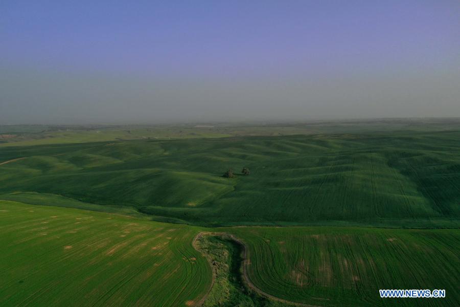 Aerial view of Negev desert near Beersheba, Israel