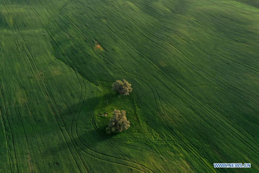 Aerial view of Negev desert near Beersheba, Israel