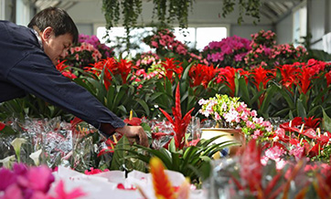 Flowers become popular among customers in Liaoning as Spring Festival nears