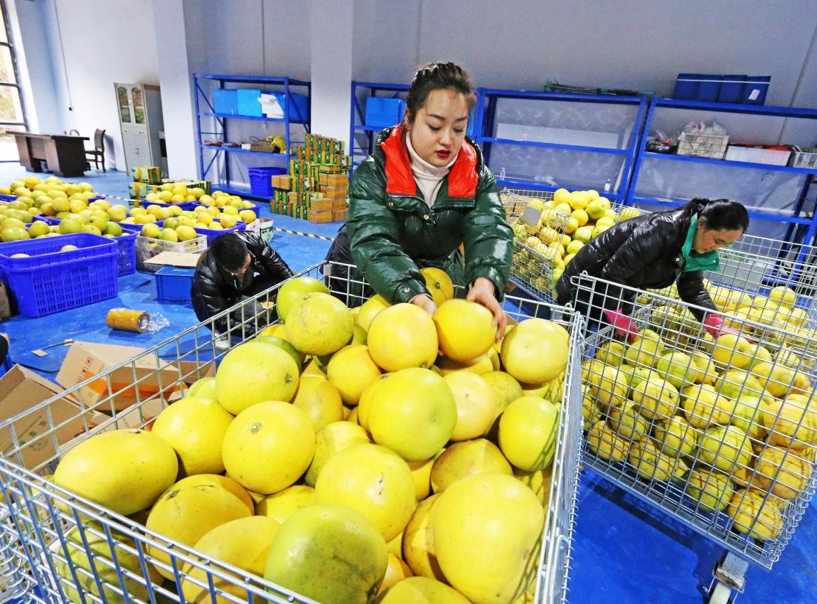 China's 823 poor counties achieve total online retail sales of over 300 billion yuan