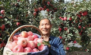 Fruit industry leads Xinjiang's Aksu to prosperity