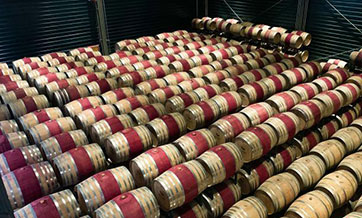 Wine of NW China's Ningxia gains popularity at home and abroad