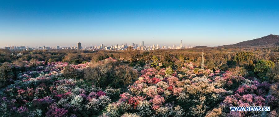 Meihuashan scenic area in Nanjing, Jiangsu