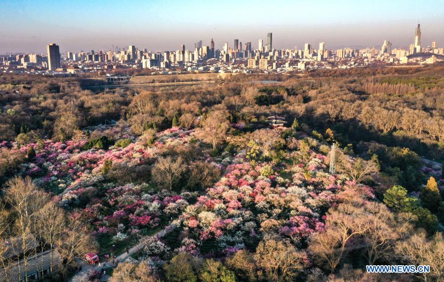 Meihuashan scenic area in Nanjing, Jiangsu