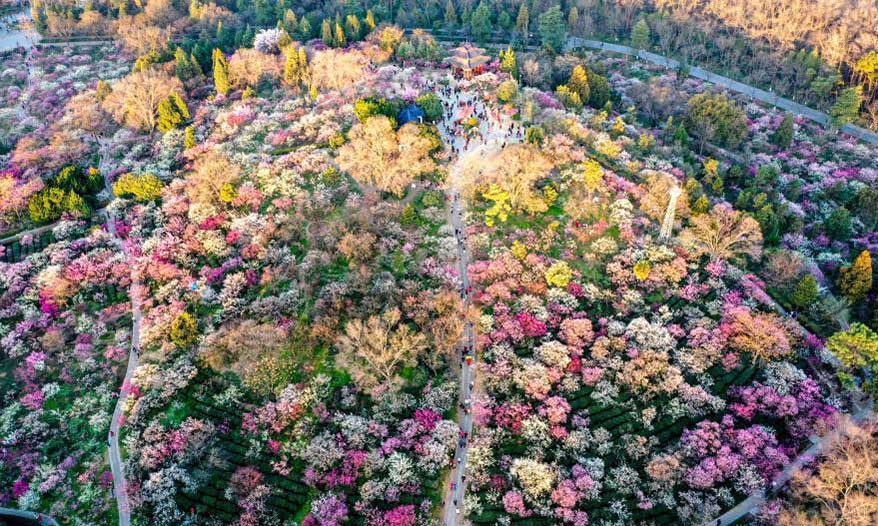 Meihuashan scenic area in Nanjing, Jiangsu