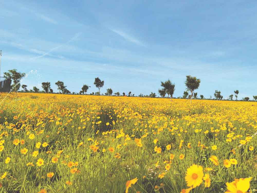 Hebei’s Hutuo River regains vitality thanks to ecological remediation efforts