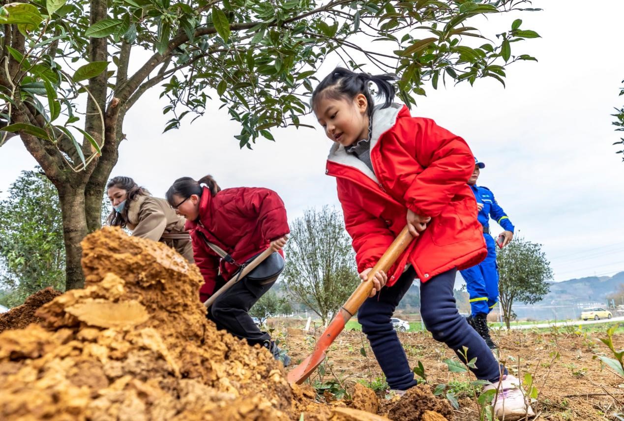 China to incorporate education programs promoting eco-civilization into national education system