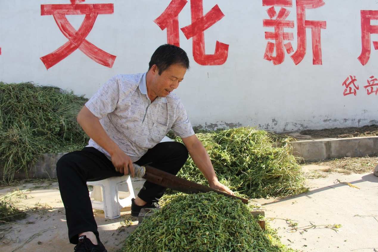 City in north China’s Shanxi province helps disabled people secure jobs through targeted assistance