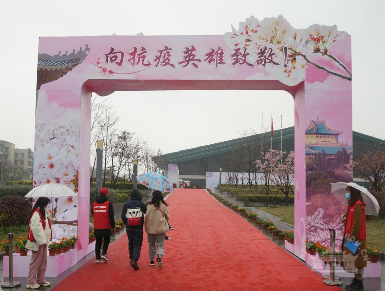 China’s Hubei province designs cherry blossom viewing activities to thank medical workers for dedication to COVID-19 fight