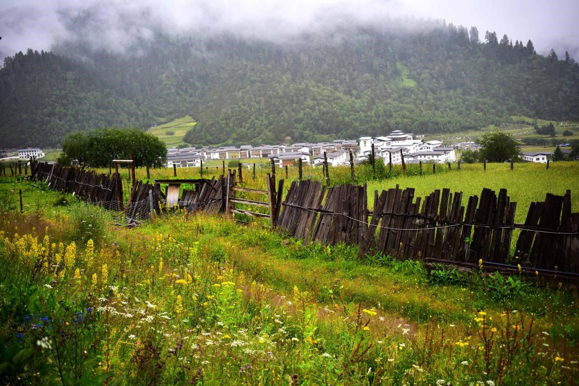 Tibet's Nyingchi dives deep in eco-tourism, embraces prosperous development