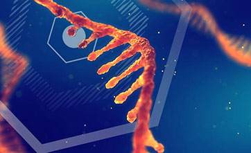 Israeli researchers discover new RNA type