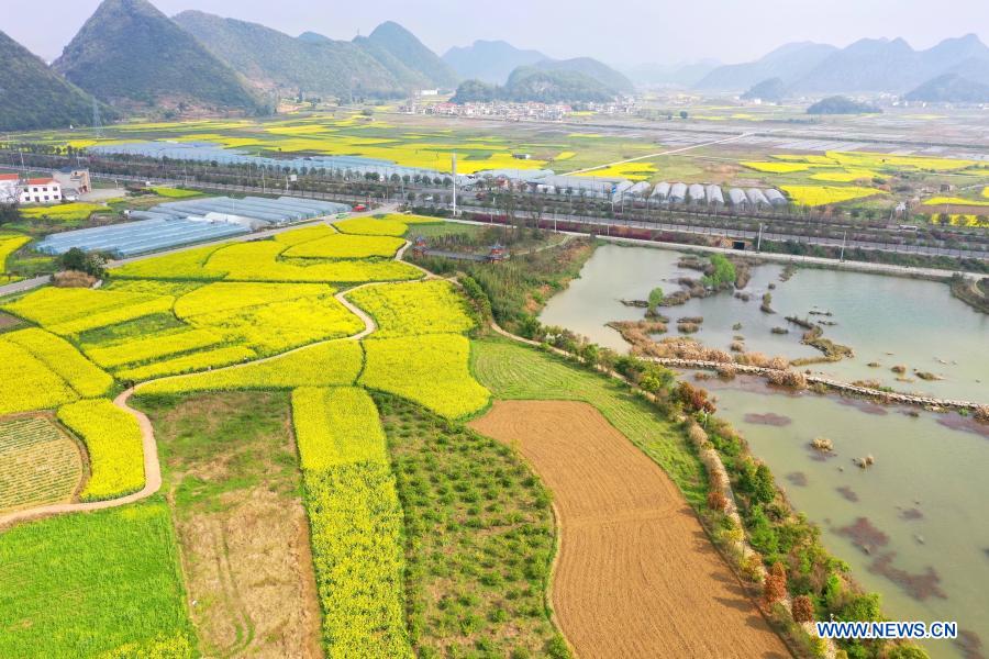 Spring scenery at Xiaohewan Village in Guizhou