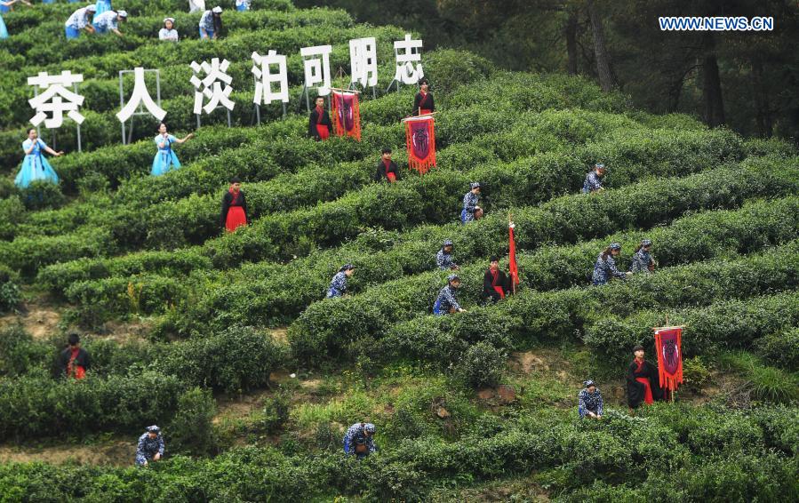 Tea culture festival held in Chongqing