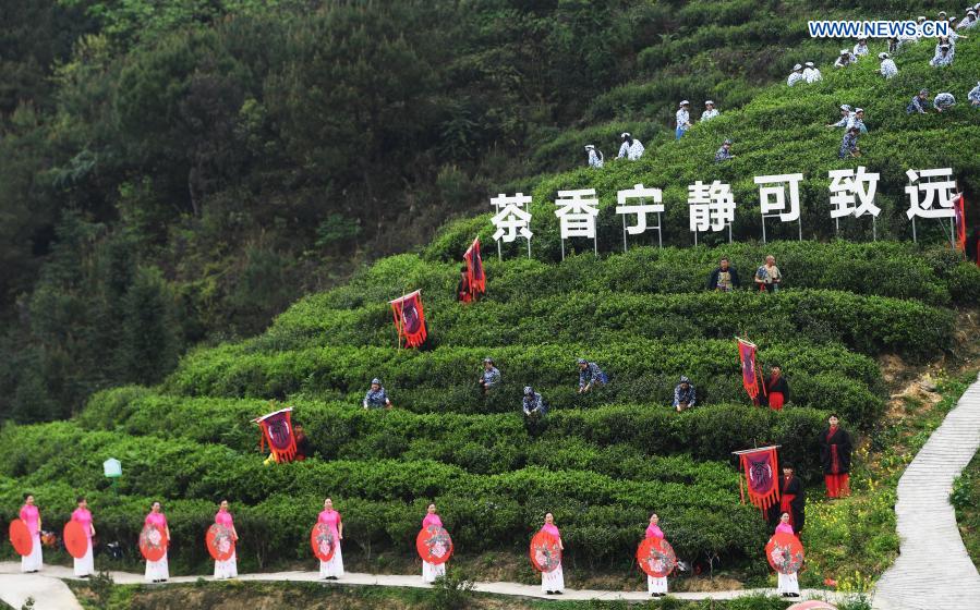 Tea culture festival held in Chongqing