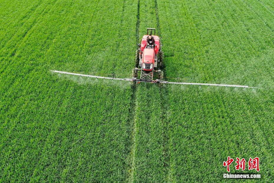 E China's Anhui province uses satellite technology to facilitate loans for farmers during the spring farming season